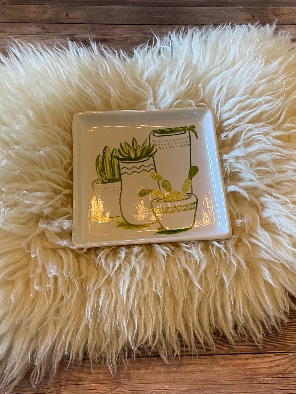Creative Co-Op Catchall ~ Succulents